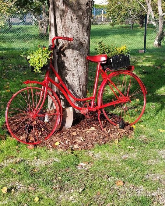 Gite Au Pommier Fleuri Et Son "Appart" Independant Drusenheim Exterior foto
