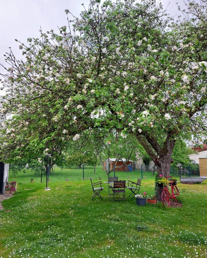 Gite Au Pommier Fleuri Et Son "Appart" Independant Drusenheim Exterior foto