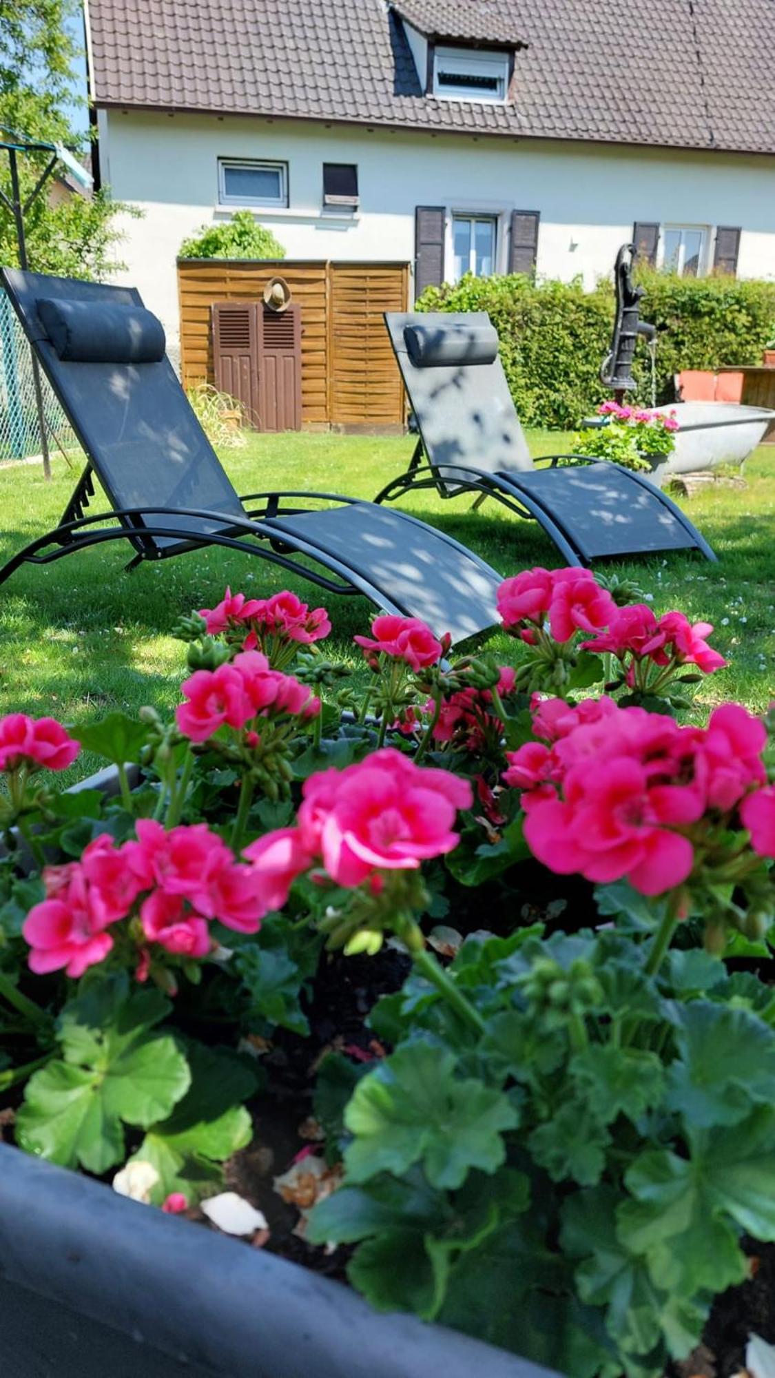 Gite Au Pommier Fleuri Et Son "Appart" Independant Drusenheim Exterior foto