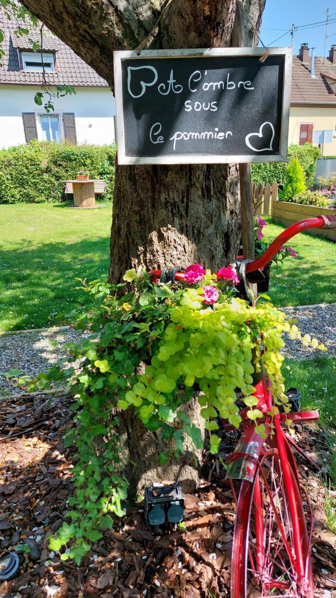 Gite Au Pommier Fleuri Et Son "Appart" Independant Drusenheim Exterior foto